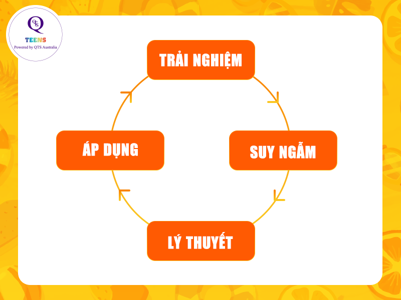 David Kolb - Học tập qua trải nghiệm
